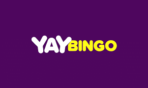 yaybingo